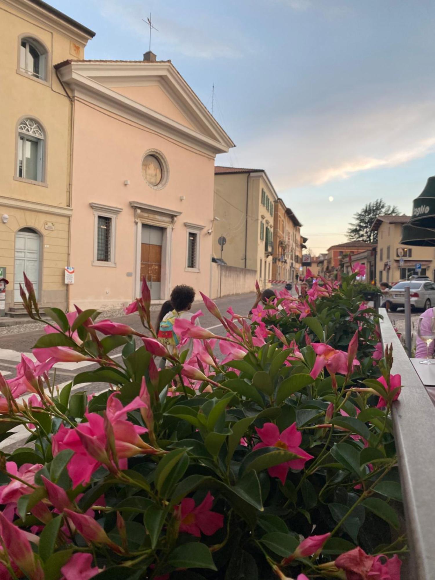Hotel Il Riccio E Il Gufo Cepletischis Exterior foto